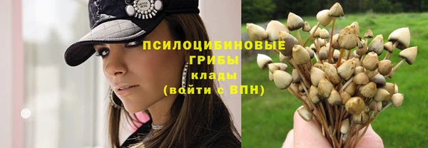 сатива Абдулино