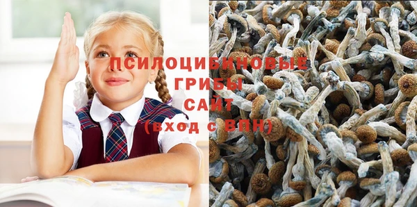 ALPHA-PVP Абинск