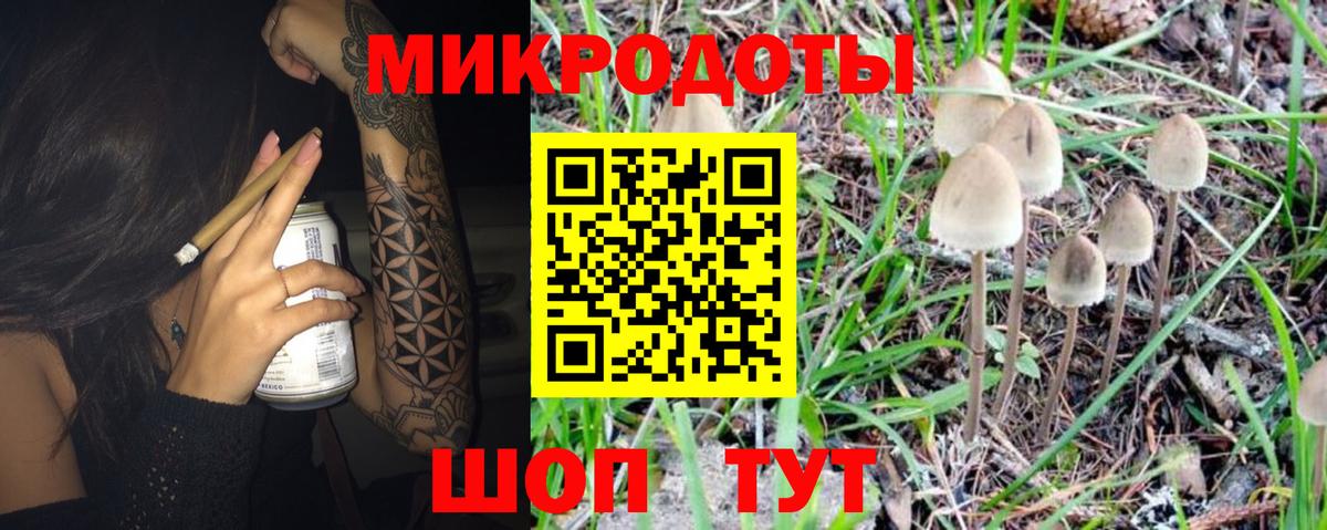 Псилоцибиновые грибы мухоморы Красноперекопск